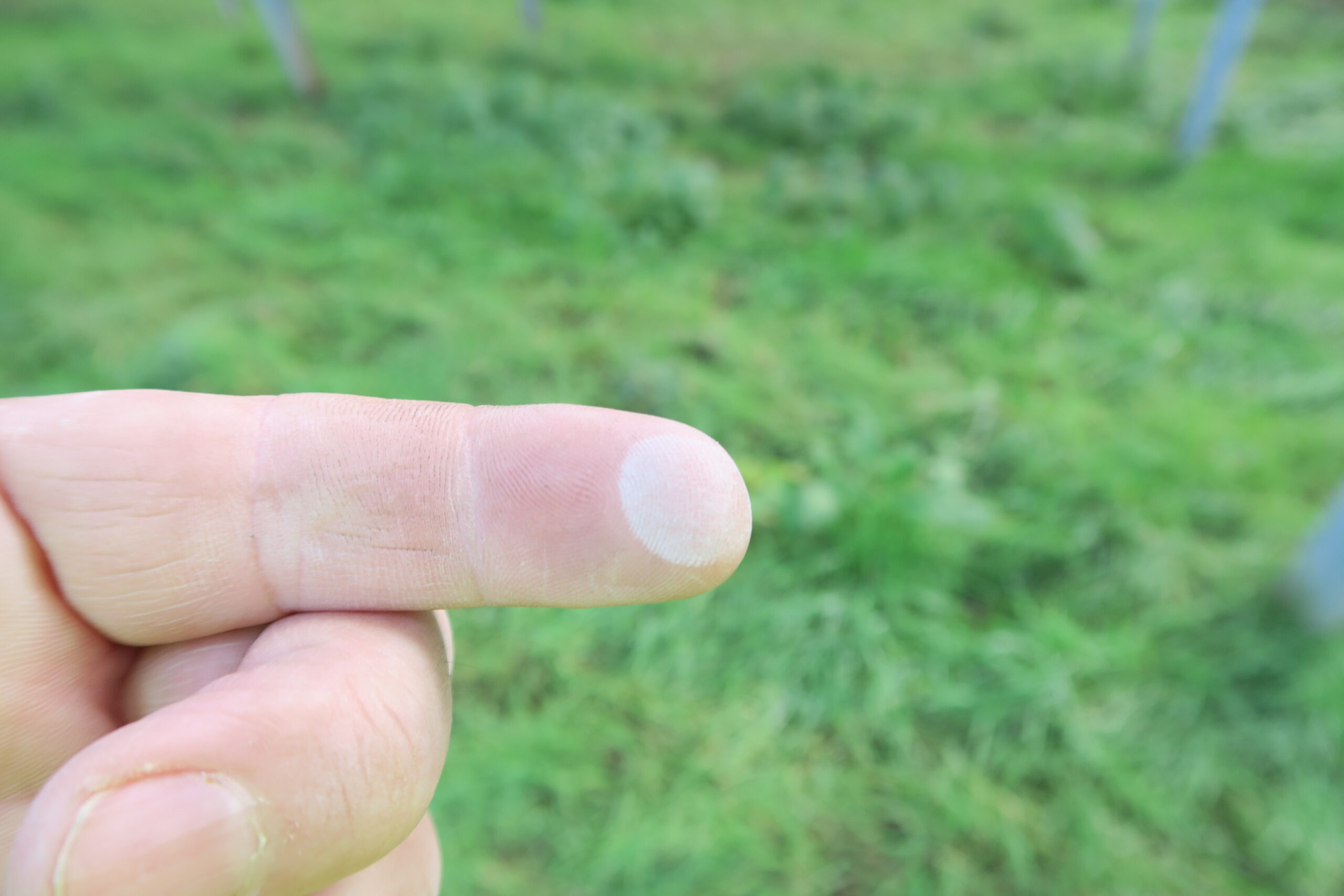 Identifikation der Rückseitenfolien von Solarmodulen im Feld - pvBuero